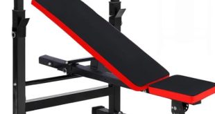 Unleash Your Potential with the Ultimate Exercise Bench: Your Gateway to Fitness Success!