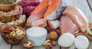 The Power of Protein: Transform Your Health with Protein Foods