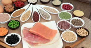 Understanding Nutrients Protein: The Foundation of Wellness