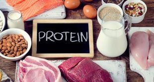 The Vital Role of Protein: Unlocking the Power of Nutrition for Optimal Health and Wellness